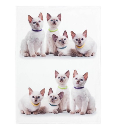 Kracht Digiprint Geschirrtücher aus Baumwolle - Katzen